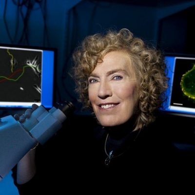 ELAINE FUCHS